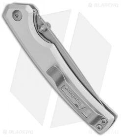 Kershaw Epistle Liner Lock Knife Gray (3" Bead Blast) 2131 -Kershaw Knife Shop Kershaw Epistle LL Gray BB 2131 BHQ 94089 jr side