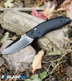 Kershaw Induction Folding Knife Black GFN (3.125" Two-Tone) 1905 -Kershaw Knife Shop Kershaw Induction Folding Knife Black GFN Two Tone 1905 BHQ 34432 kp woods web