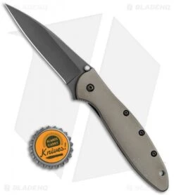 Kershaw Leek Assisted Opening Knife Gray Stainless Steel (3" Gray) 1660GRY -Kershaw Knife Shop Kershaw Leek LL A O Gray Bronze Black BHQ 117600 jr bottlecap