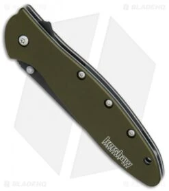 Kershaw Leek Assisted Opening Knife OD Green (3" Black ) 1660OLBLK 11 Kershaw Leek Assisted Opening Knife OD Green (3" Black ) 1660OLBLK -Kershaw Knife Shop Kershaw Leek OD Green black BHQ 79637 er spine