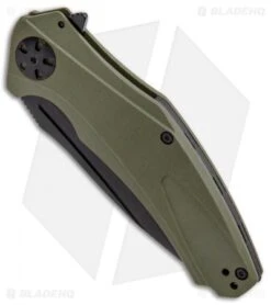 Kershaw Natrix XL Sub-Frame Lock Knife OD Green G-10 (3.75" Black) 7008OLBLK -Kershaw Knife Shop Kershaw Natri XL Sub FL OD Green G 10 Black 7008OLBLK BHQ 80571 jr spine