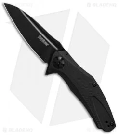 Kershaw Natrix Assisted Opening Sub-Frame Lock Knife Black G-10 (3.25" Black)