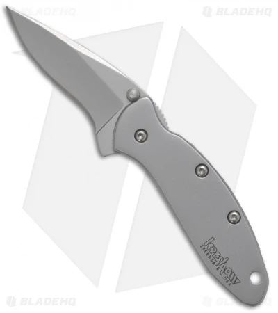 Kershaw Chive Assisted Opening Knife (1.94" Bead Blast) 1600 -Kershaw Knife Shop kershaw chive 1600 new