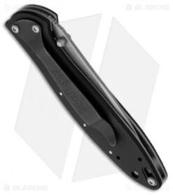 Kershaw Leek Assisted Opening Knife Black (3" Stonewash) 1660SWBLK -Kershaw Knife Shop kershaw leek 1660swblk side